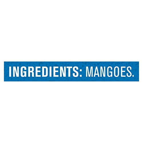 Gerber 2nd Food Baby Food Mango Puree, Natural & Non-GMO, 4 Ounce Tubs, 2-Pack