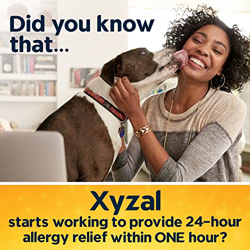 Xyzal Allergy Pills, 24-Hour Allergy Relief, Original Prescription Strength,55 Count (Pack of 2)