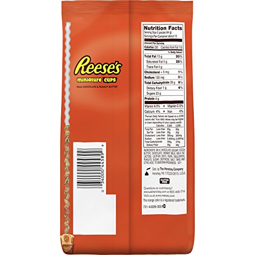 REESE'S Peanut Butter Cups Miniatures, 19.75 Ounce