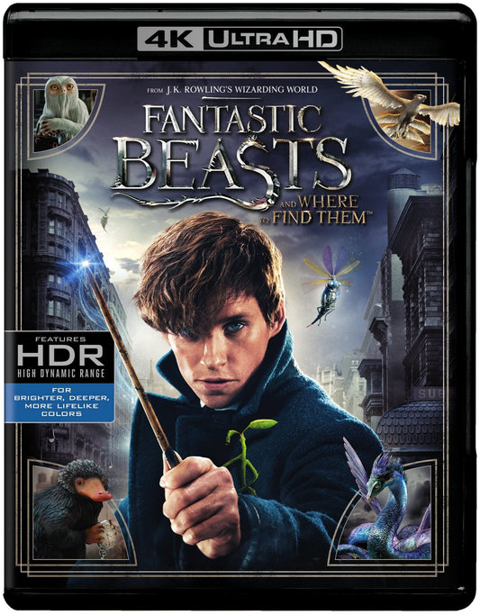 Fantastic Beasts and Where to Find Them (4K Ultra HD + Blu-ray ) [4K UHD]