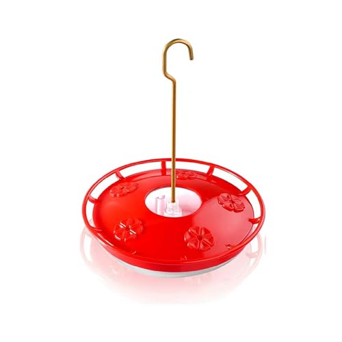 SEDLAV 12 oz Hummingbird Feeder - Outdoor Window Bird Feeder with 5 Red Feeding Ports & Frame Design to Rest & Drink, Built-in Ant Moat & Stainless Steel Hook