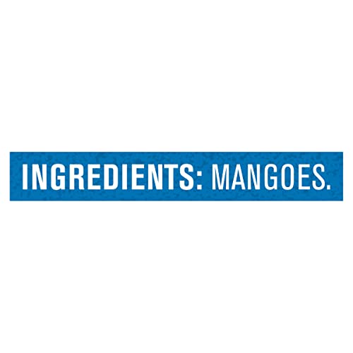 Gerber 2nd Food Baby Food Mango Puree, Natural & Non-GMO, 4 Ounce Tubs, 2-Pack