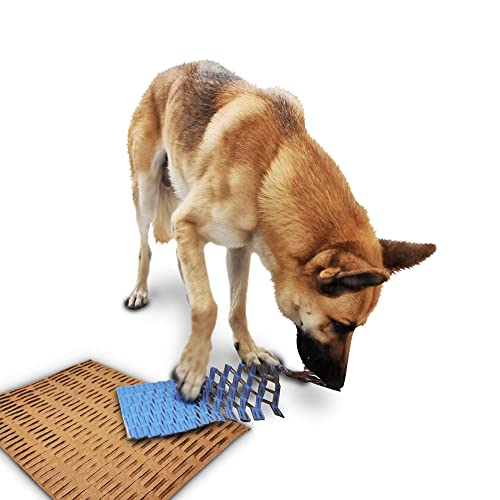 SEDLAV Dog Toy for Aggressive Chewers, 5 lb, Dog Toy for Boredom and Stimulating, Dog Toy Chew, Puppy Toys in Cardboard Shred, Puppy Chew Toys for Teething, Dog Toys for Large Dogs, Puppy Teething