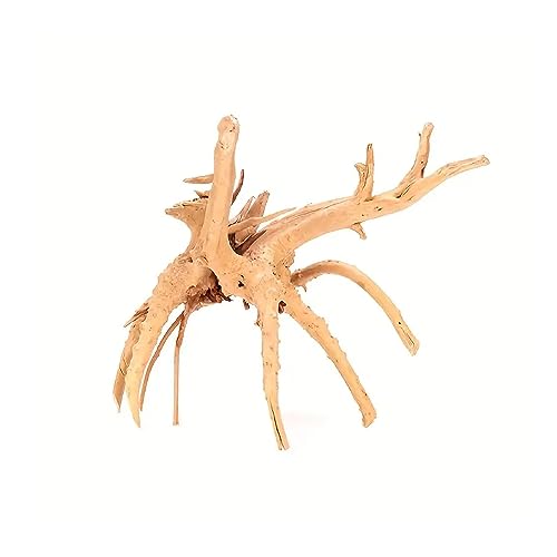 SEDLAV Driftwood for Aquarium and Reptile Branches Wood Natural Trunk - Perfect Aquarium Decorations, Office Decor, Low Maintenance, 18-24 Hand-Crafted Painted Wood