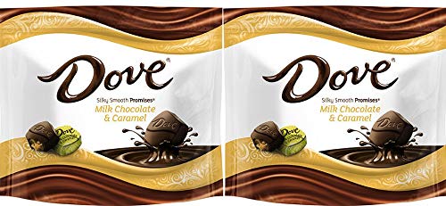 Dove, Promises, Caramel and Milk Chocolate Candy Bag, 7.61 ounces (2 Pack)