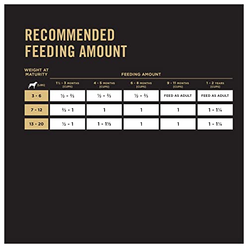 Purina Pro Plan High Protein Small Breed Puppy Food DHA Chicken & Rice Formula - 6 lb. Bag