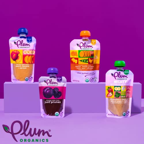 Plum Organics Stage 2 Organic Baby Food, Apple & Broccoli, 4 Ounce Pouch (Pack of 4) Packaging May Vary