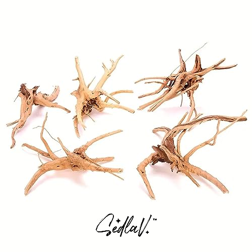 SEDLAV Driftwood for Aquarium and Reptile Branches Wood Natural Trunk - Perfect Aquarium Decorations, Office Decor, Low Maintenance, 18-24 Hand-Crafted Painted Wood