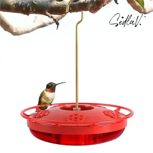SEDLAV 12 oz Hummingbird Feeder - Outdoor Window Bird Feeder with 5 Red Feeding Ports & Frame Design to Rest & Drink, Built-in Ant Moat & Stainless Steel Hook