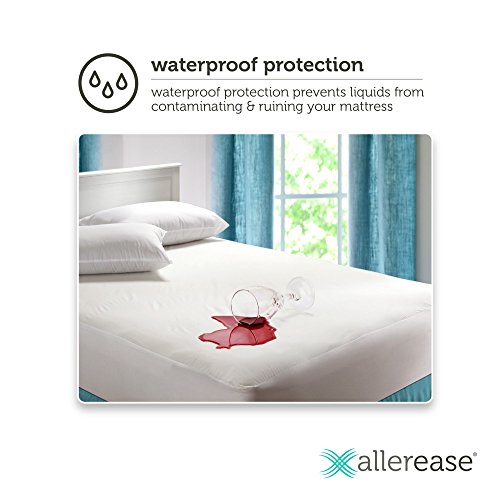 Mainstays Waterproof Fitted Vinyl Queen Mattress Protector, White