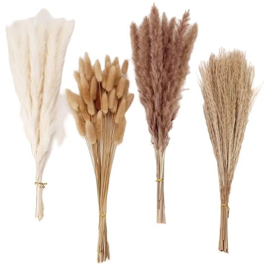 SEDLAV 80pcs Dried Pampas Grass Decor, Pampas Grass Contains Bunny Tails Dried Flowers, Reed Grass Bouquet for Wedding Boho Flowers Home Table Decor, Rustic Farmhouse Party (White and Brown)