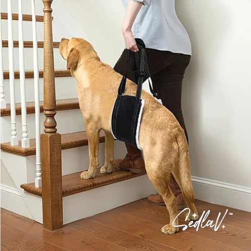 SEDLAV Dog Harness Carrying Aid - Adjustable Dog Hip Support Brace for Elder & Sick Dogs, Back & Leg Support Up to 40kg - Reduces Injury & Aids Rehabilitation - Suitable for Medium & Large Breeds