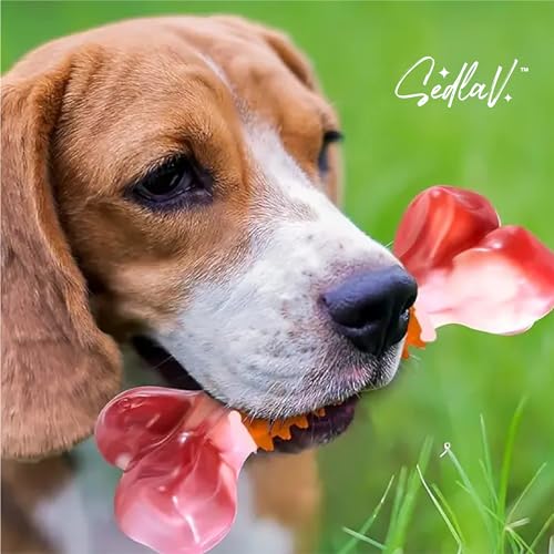 SEDLAV Puppy Chew Toys for Teething - Small & Big Dog Durable Chew Toys for Outdoor & Indoor Play - Nylon & Rubber Indestructible Dog Toys for Teeth Cleaning with Peanut Butter Flavor