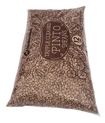PINTO BEANS
