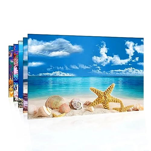 SEDLAV KSY Fish Tank Background Poster - Vibrant Aquarium Decor, High Definition Fish Tank Accessories, Fishing Poster - Adhesive & Durable Material, Easy to Attach, Natural Look Design