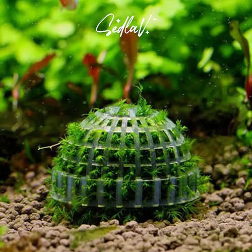 SEDLAV Clear Container Aquatic Ball Aquarium - Eco-Friendly, Non-Toxic Plastic - Fish Tank Decorations with Mineral Ball & Grass Cultivation Platform - Easy Installation & Removal