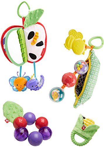 Fisher-Price Fruits & Veggies Gift Set