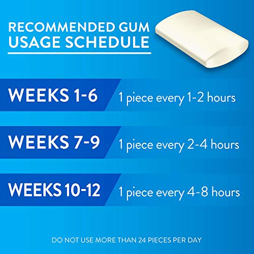 Member's Mark 4 mg Nicotine Polacrilex Gum, Coated Original Flavor (380 Count)