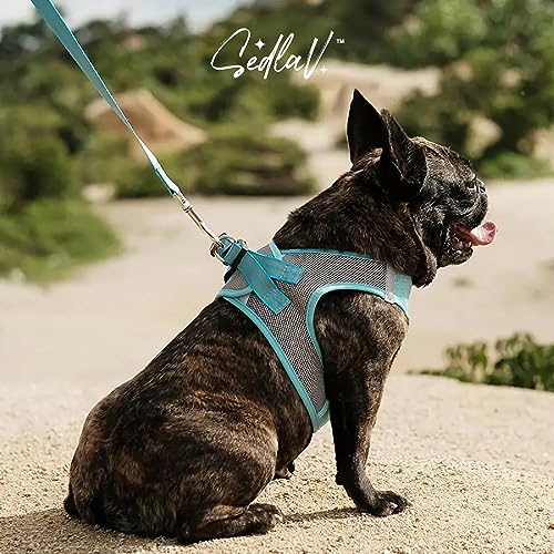 SEDLAV Dog Harness - Adjustable Padded Control Handle Harness for Active Dogs - Chiefs Dog Collars with Doggie Lift & Reflective Piping for Night Visibility