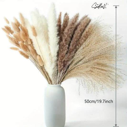 SEDLAV 80pcs Dried Pampas Grass Decor, Pampas Grass Contains Bunny Tails Dried Flowers, Reed Grass Bouquet for Wedding Boho Flowers Home Table Decor, Rustic Farmhouse Party (White and Brown)