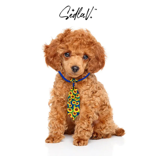 SEDLAV Adorable Sunflower Print Kitten Collars - Bow Tie Style Cat Tie & Small Dog Collars for Girls - Adjustable, Comfortable & Stylish Pet Neck Wear for Photoshoot, Play or Everyday Use