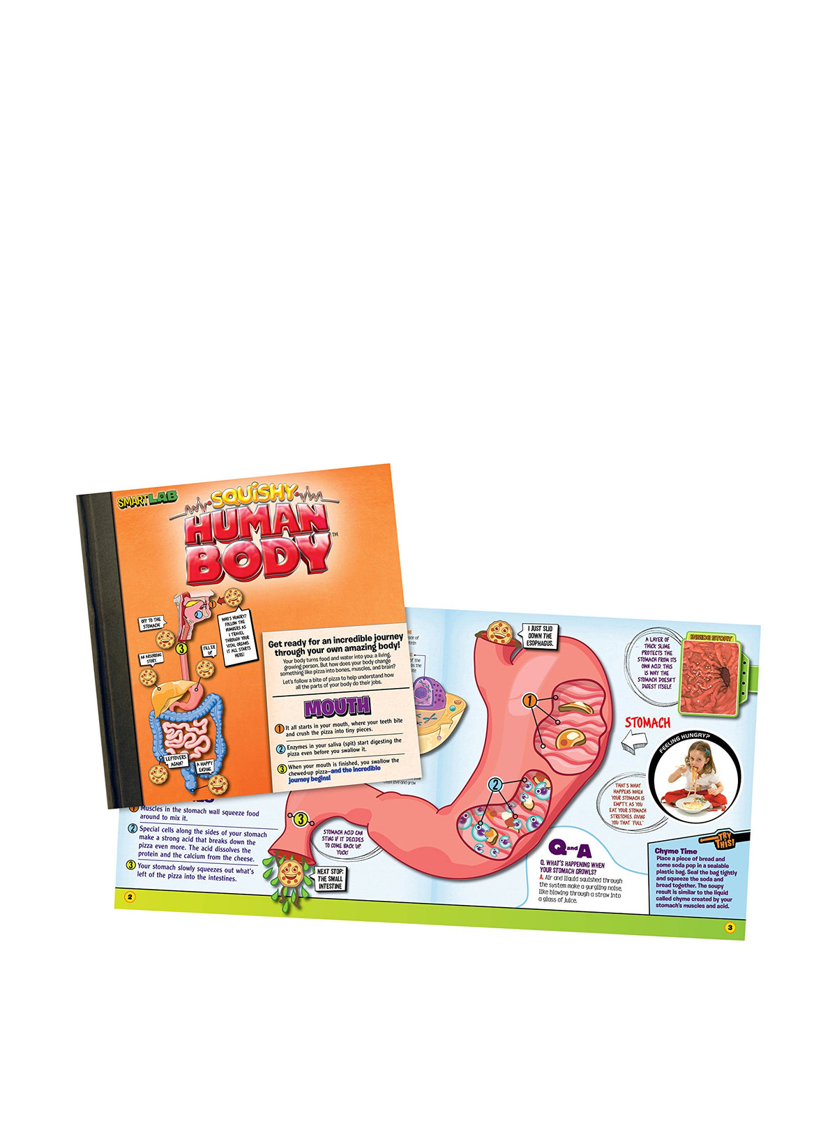 Smartlab Body SmartLab Toys Squishy Human Body with 21 Removable Body Parts with Ana