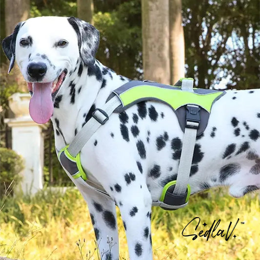 SEDLAV No-Pull Dog Vest Harness - Adjustable, Soft Padded, Breathable with Metal Back & Reflective Dog Vest - Pull-Resistant, Comfortable, Washable Fall Dog Harness