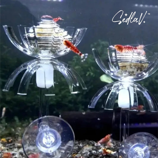 SEDLAV Aquarium Fish Feeder - Crafted from Food-Grade Plastic, This Non-Toxic Fish Feeding Ring is a Premium Choice for Your Aquatic Pets, Fishing Feeder, Fishing Feeder Cage