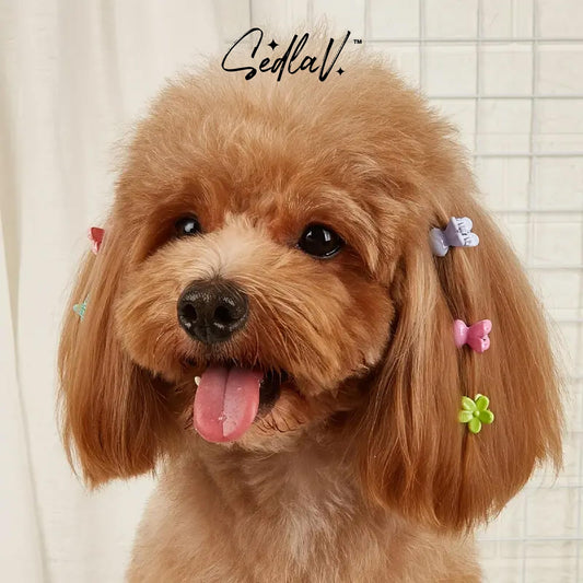 SEDLAV 12pcs Pet Hair Clips & Flower Decor - Cute Halloween Claw Clips & Bat Claw Clips Pet Headwear for Dogs & Cats - Ribbon Bows (1.96in Diameter) with Rhinestones