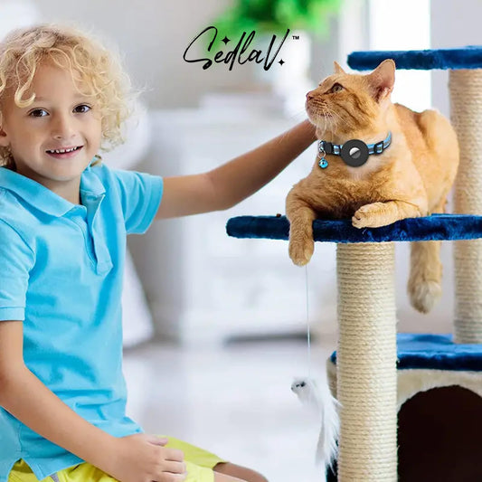 Sedlav Reflective Collar for Pets with Bell, Padded Nylon, Enhanced Safety and ComfortHeavy Duty, Adjustable, Bell for Dogs Cats Suitable for Medium to Large Dogs, Air Tags Compatible